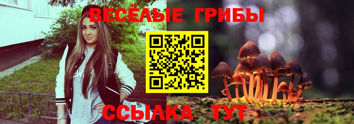 наркошоп  Вход с VPN  Псилоцибиновые грибы Psilocybe  Глазов  Галлюциногенные грибы Magic Shrooms 