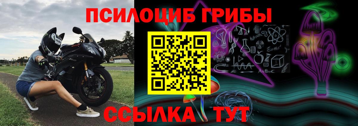 Галлюциногенные грибы мицелий Глазов